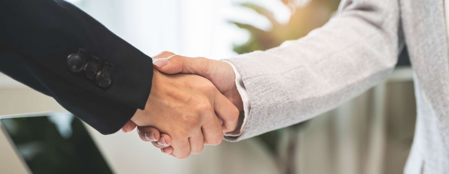 people shaking hands